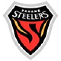 Pohang Steelers-120x120